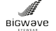BIGWAVE
